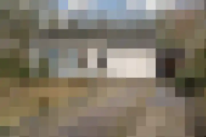 Warreveen 47 Pesse thumbnail 28