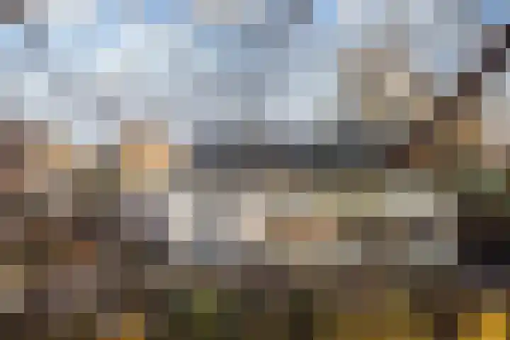 Warreveen 47 Pesse thumbnail 30