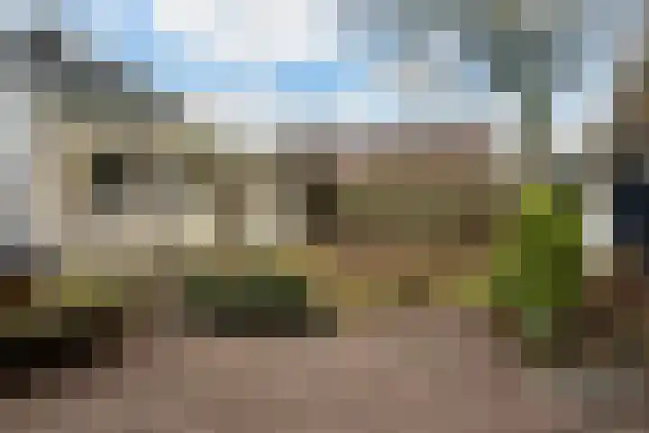 Warreveen 47 Pesse thumbnail 32