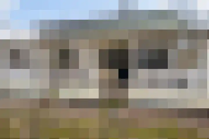 Warreveen 47 Pesse thumbnail 33