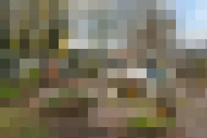 Warreveen 47 Pesse thumbnail 34