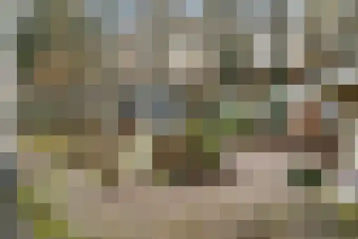 Warreveen 47 Pesse thumbnail 35