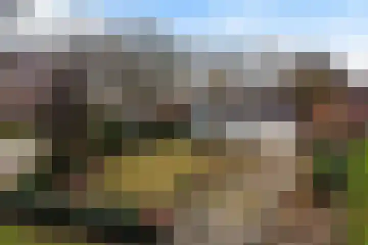 Warreveen 47 Pesse thumbnail 36