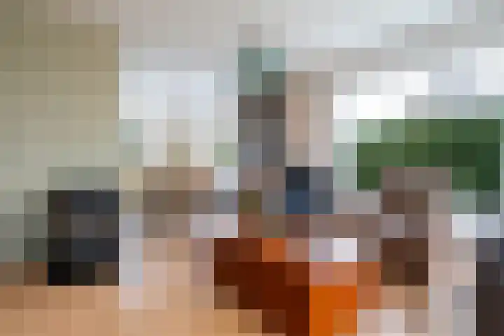 Warreveen 47 Pesse thumbnail 4