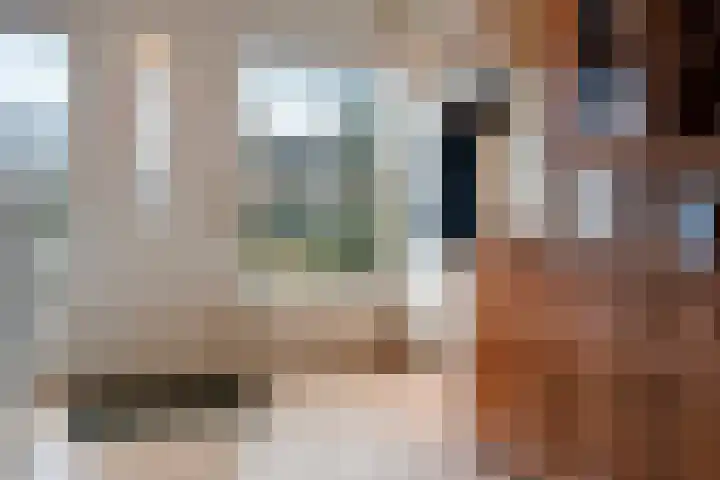 Warreveen 47 Pesse thumbnail 6