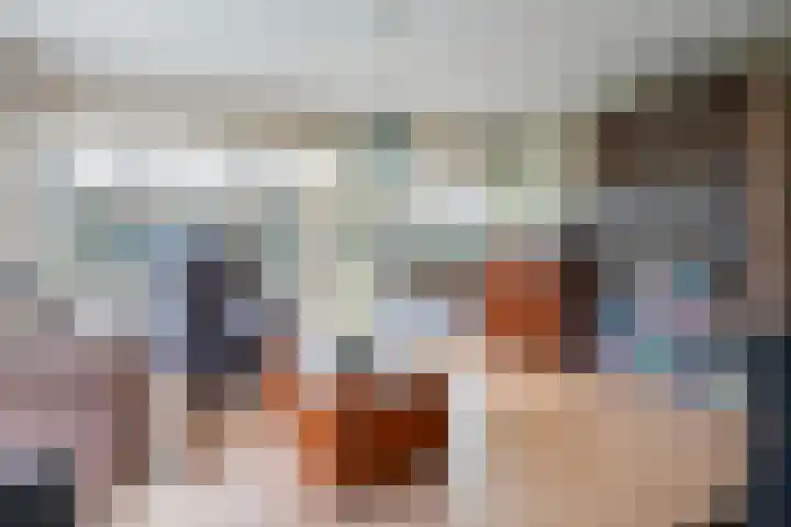 Warreveen 47 Pesse thumbnail 7