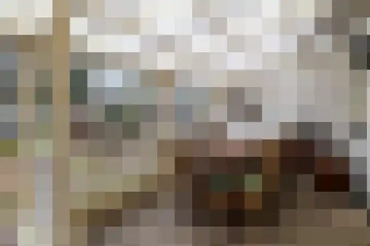 Warreveen 47 Pesse thumbnail 8