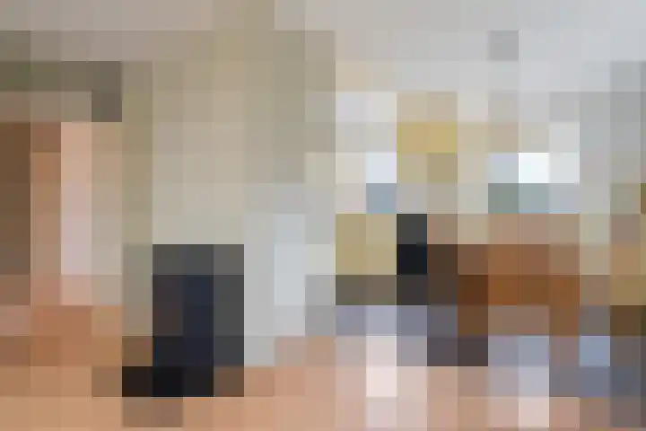 Warreveen 47 Pesse thumbnail 9