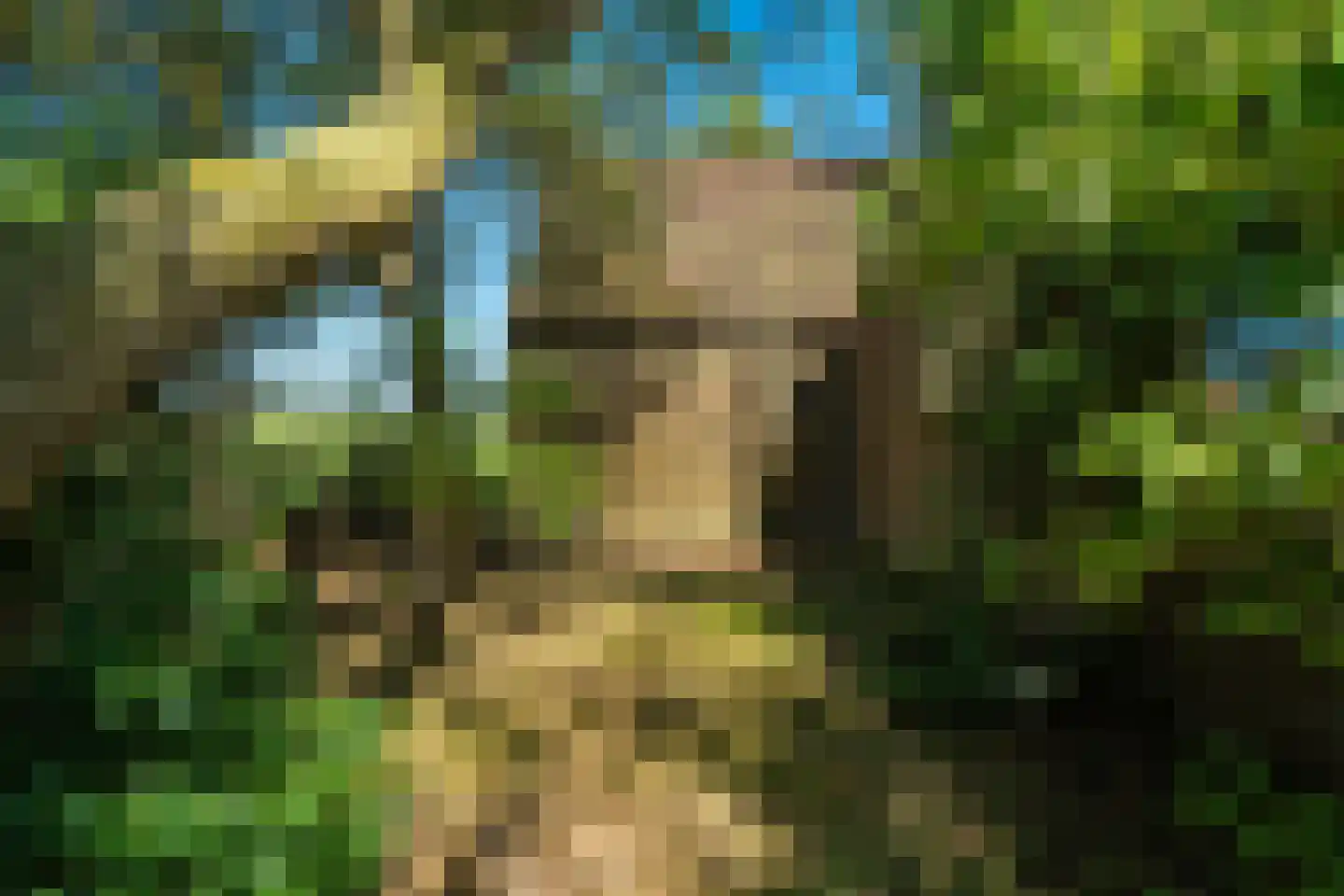 Warrewei 52 Tijnje thumbnail 10