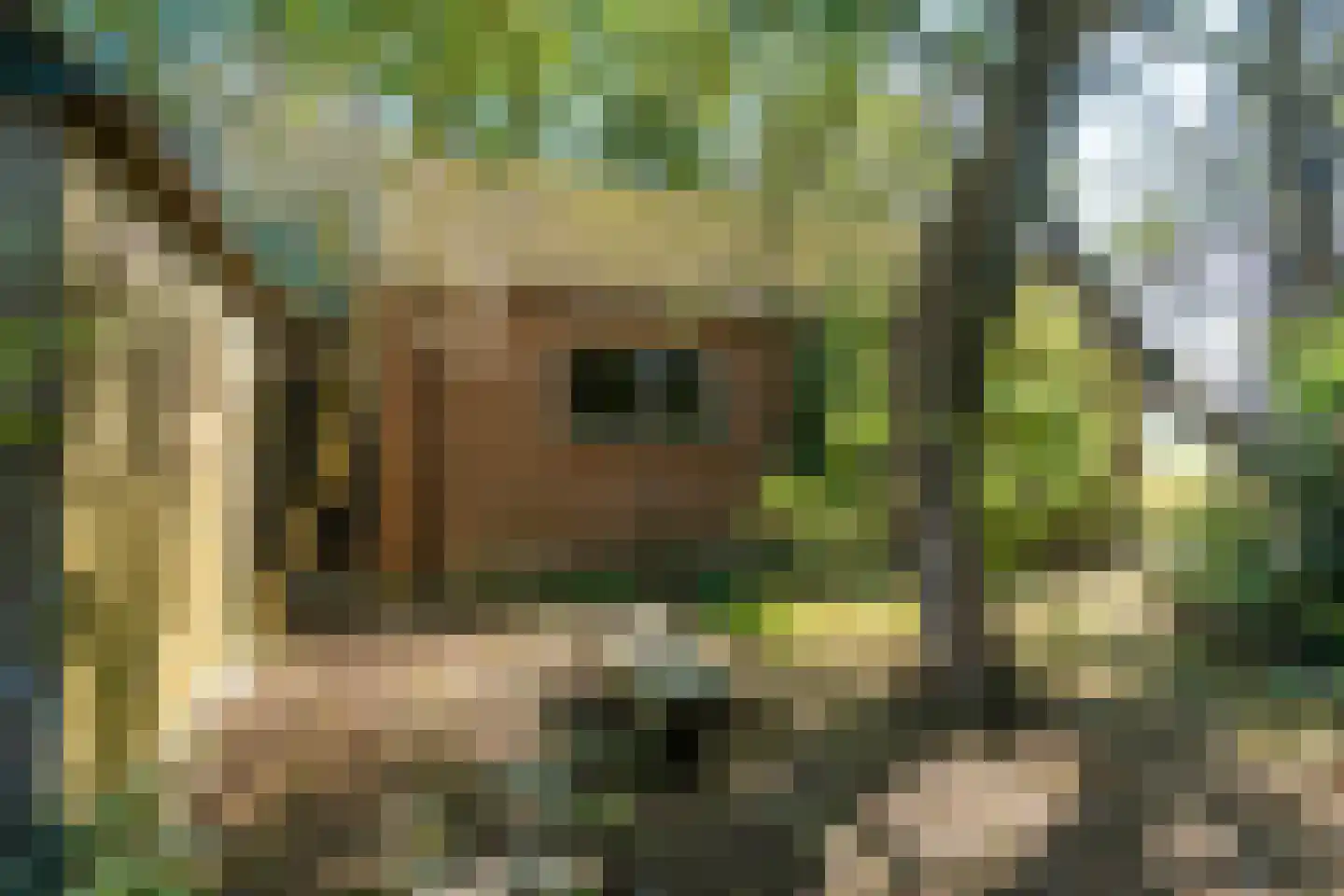 Warrewei 52 Tijnje thumbnail 11