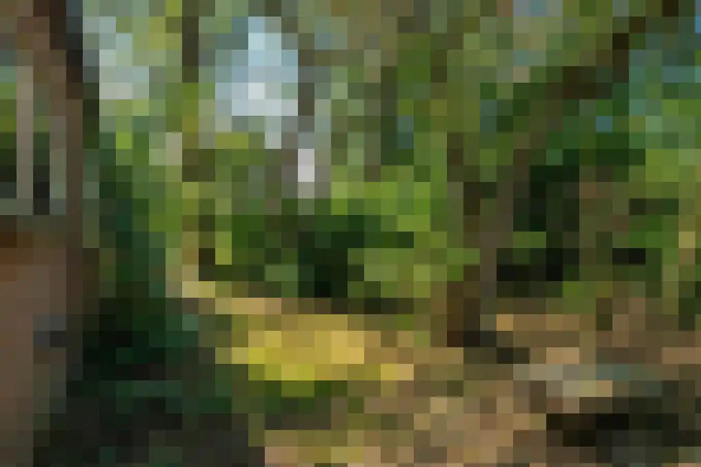 Warrewei 52 Tijnje thumbnail 12