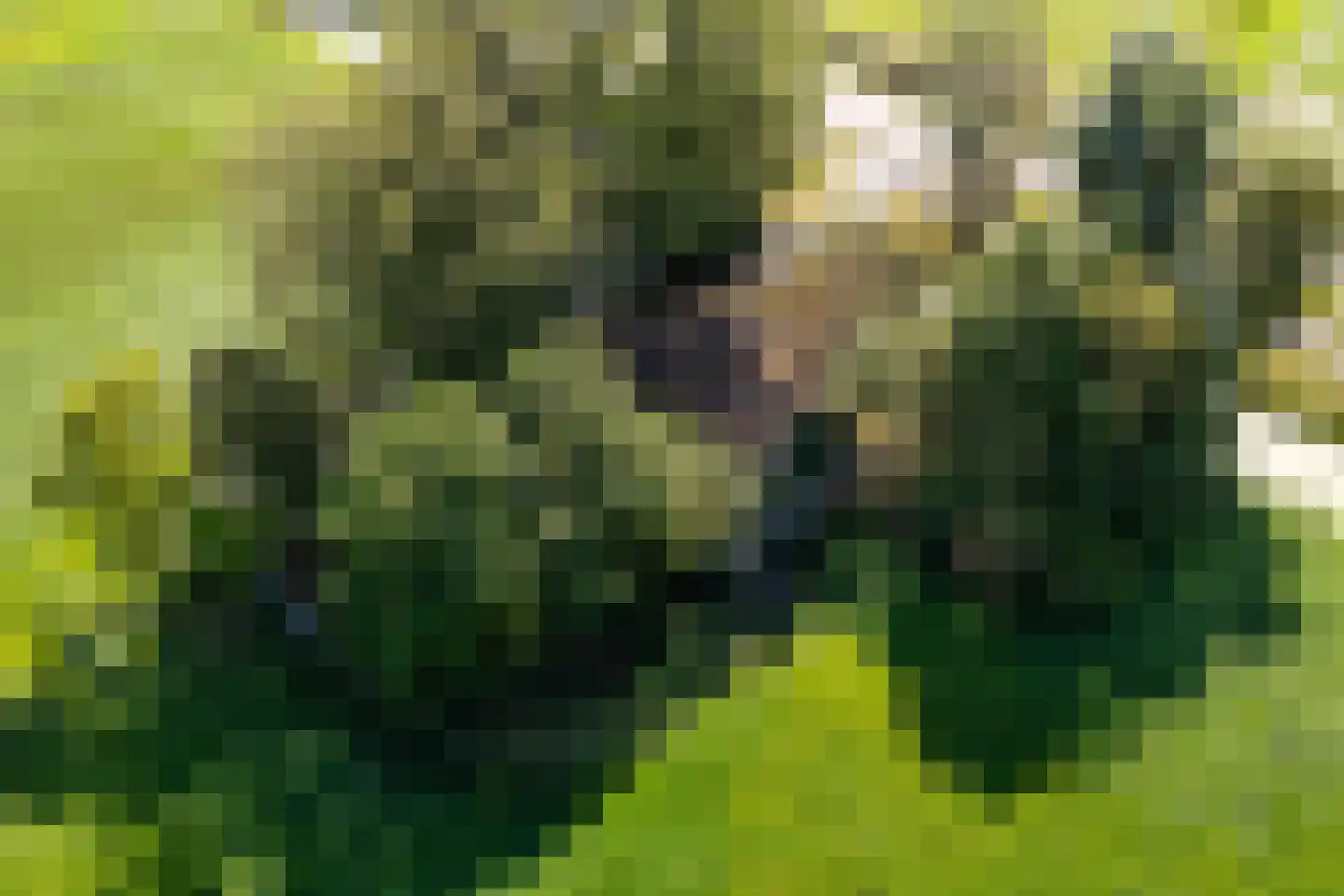 Warrewei 52 Tijnje thumbnail 13
