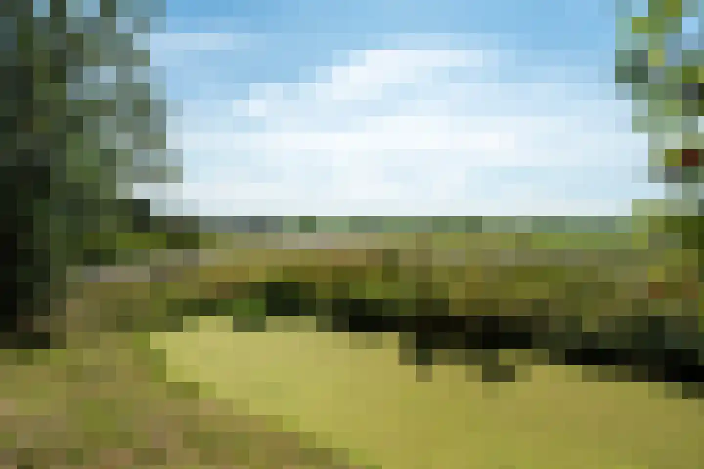 Warrewei 52 Tijnje thumbnail 14