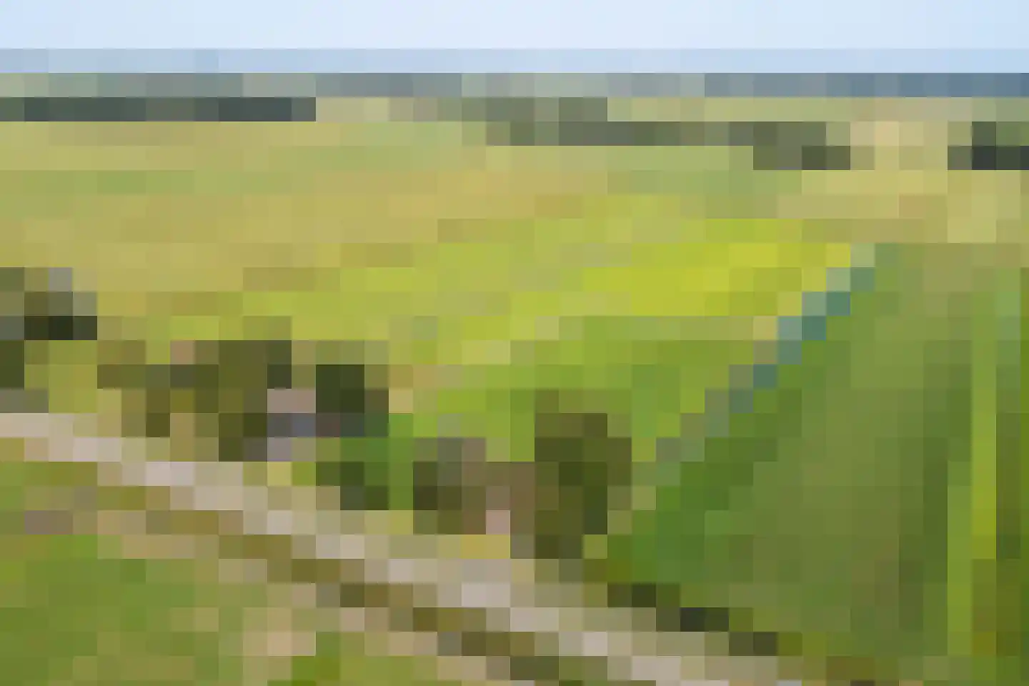 Warrewei 52 Tijnje foto 2