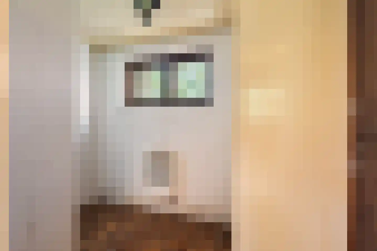Warrewei 52 Tijnje thumbnail 24