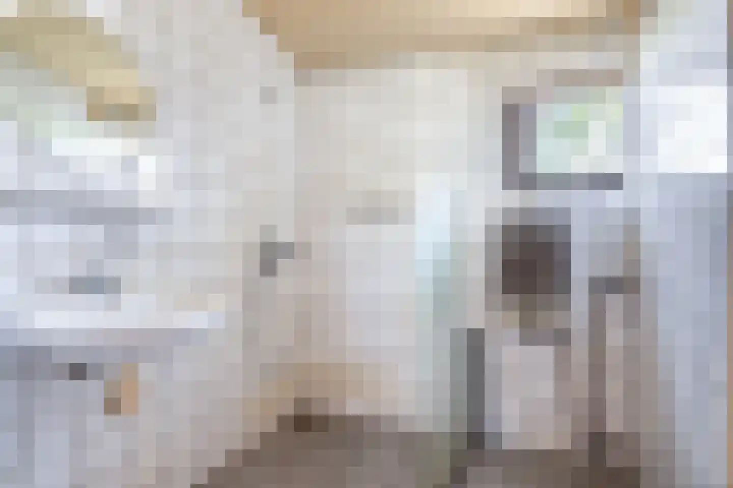 Warrewei 52 Tijnje thumbnail 27