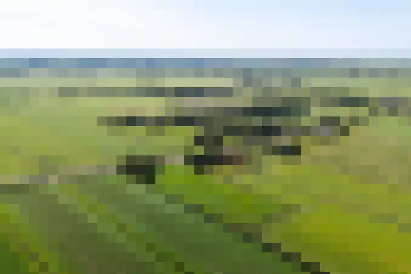 Warrewei 52 Tijnje foto 3