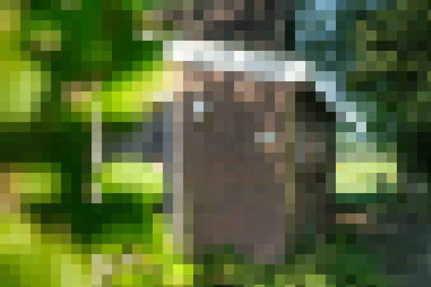 Warrewei 52 Tijnje thumbnail 49