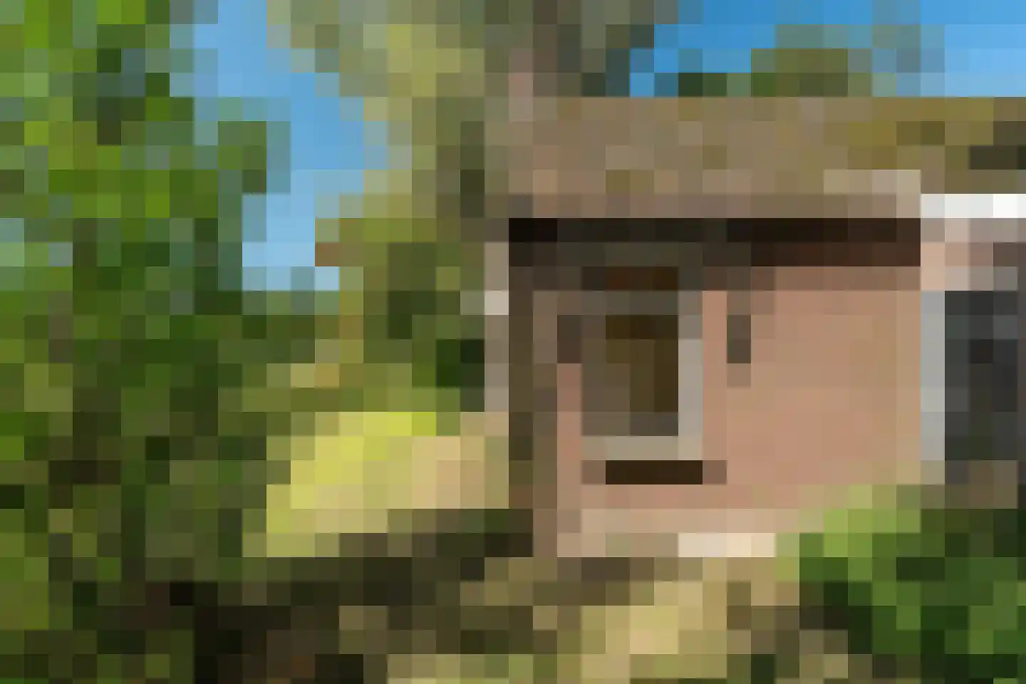 Warrewei 52 Tijnje thumbnail 50