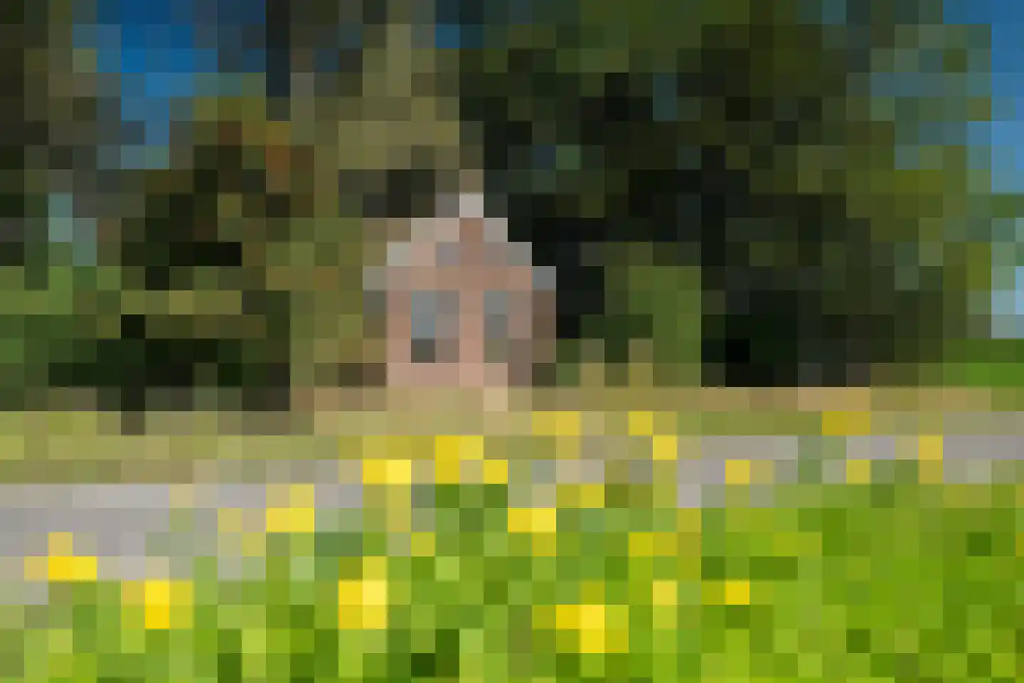 Warrewei 52 Tijnje thumbnail 51