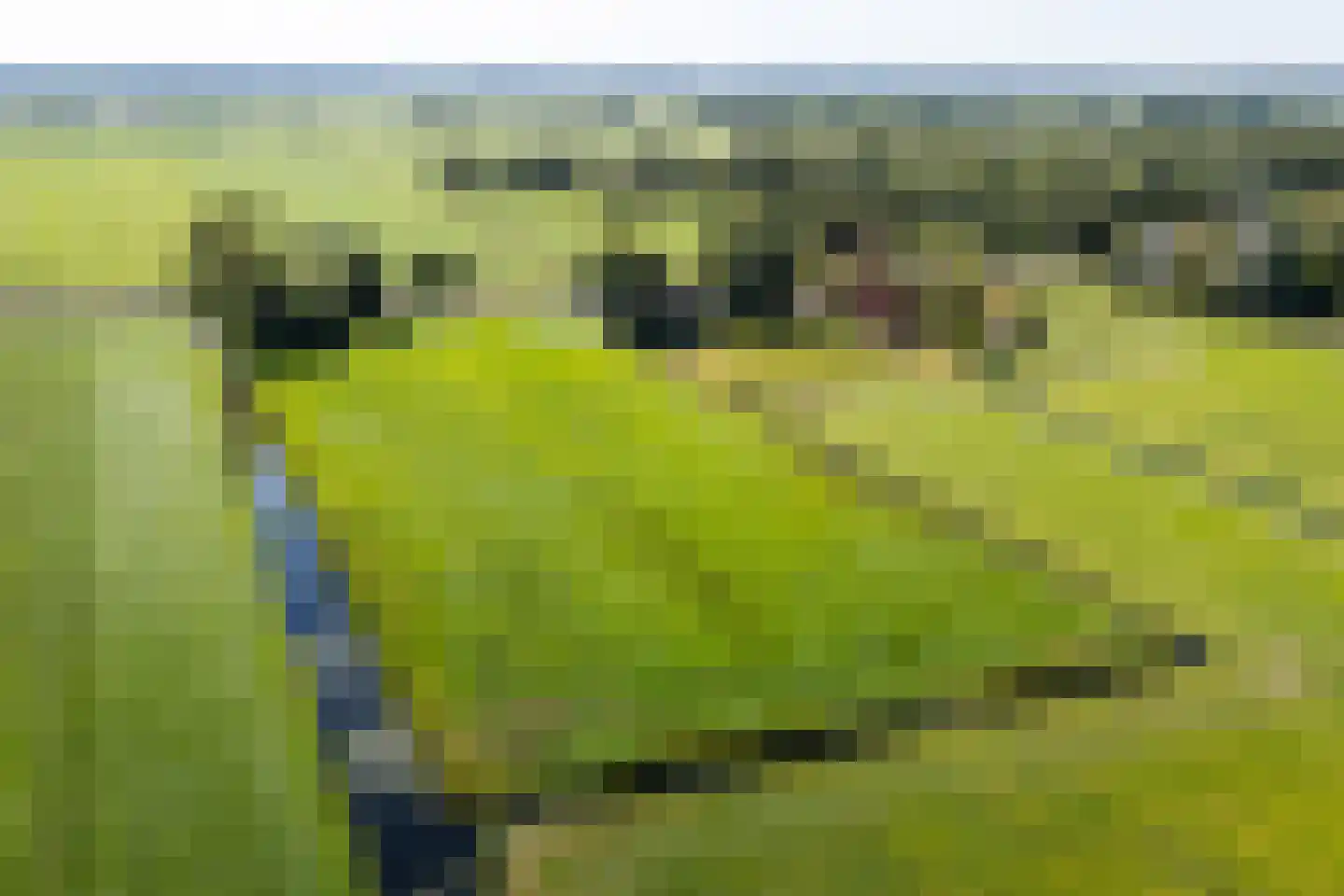 Warrewei 52 Tijnje thumbnail 55