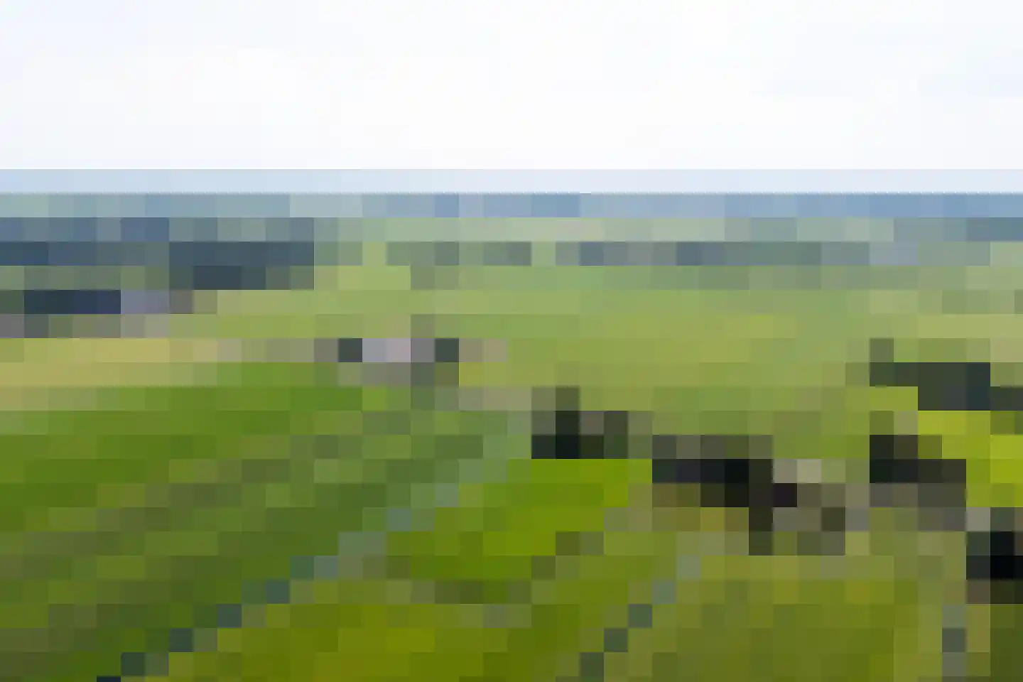 Warrewei 52 Tijnje thumbnail 56