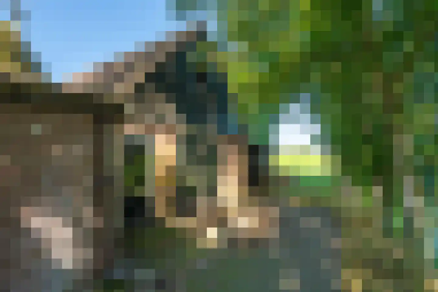 Warrewei 52 Tijnje thumbnail 7