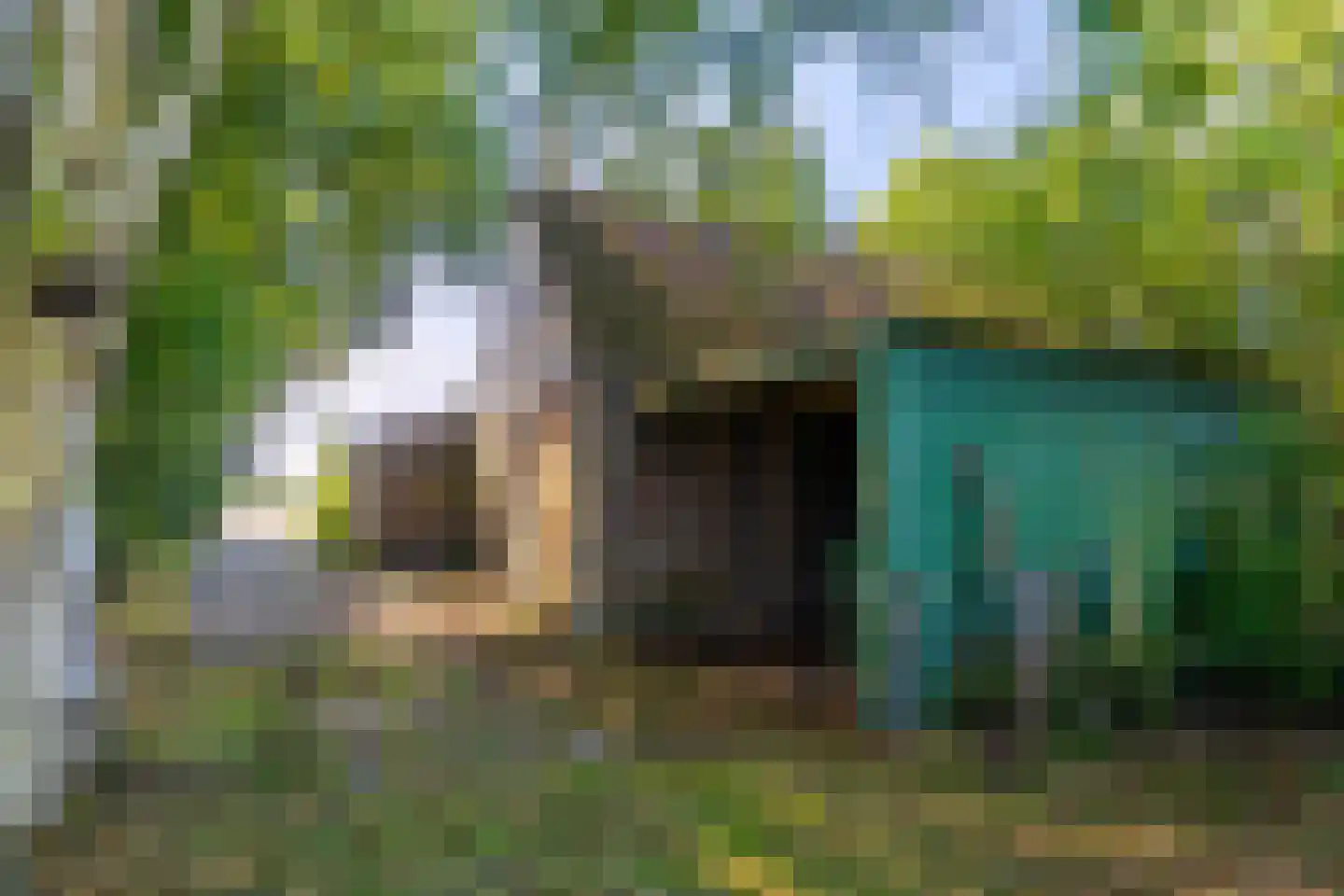 Warrewei 52 Tijnje thumbnail 9