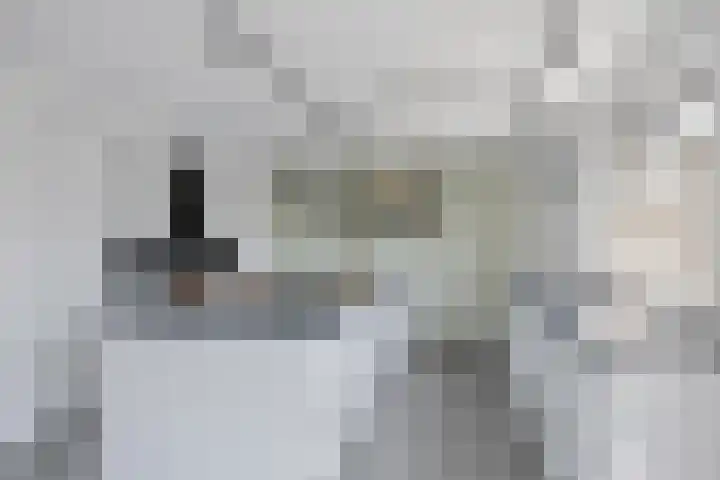Warring 16 Joure thumbnail 14