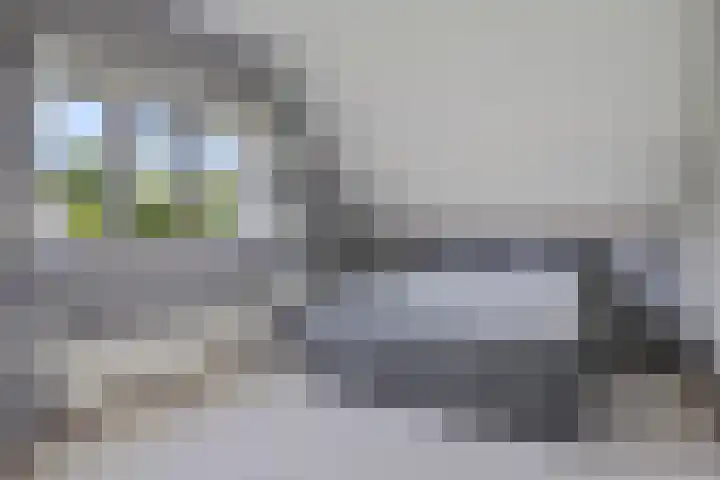 Warring 16 Joure thumbnail 21