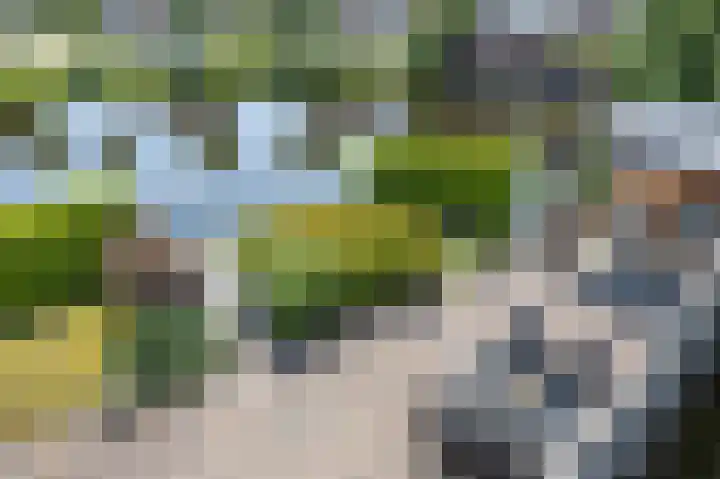 Warring 16 Joure thumbnail 32