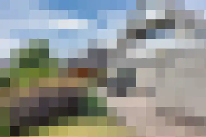 Warring 16 Joure thumbnail 33