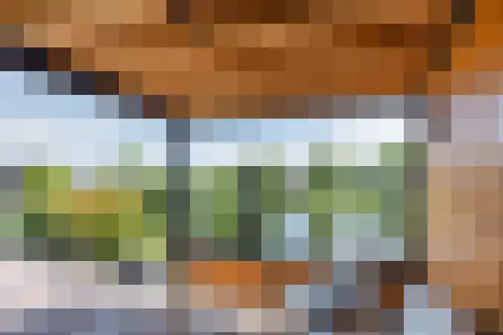 Warring 16 Joure thumbnail 36