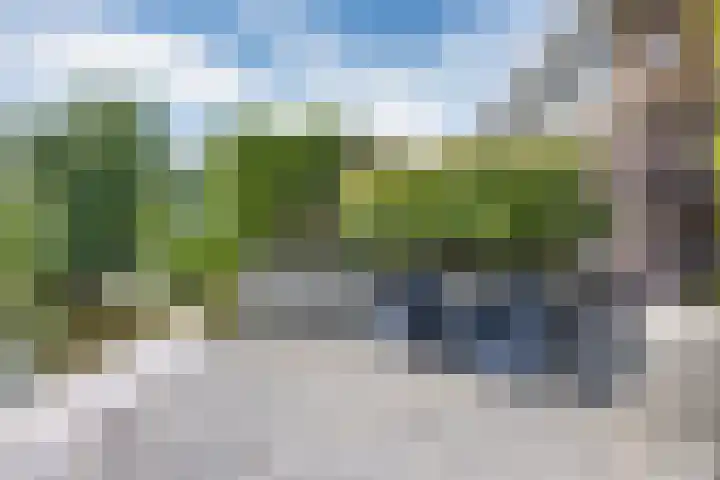 Warring 16 Joure thumbnail 42