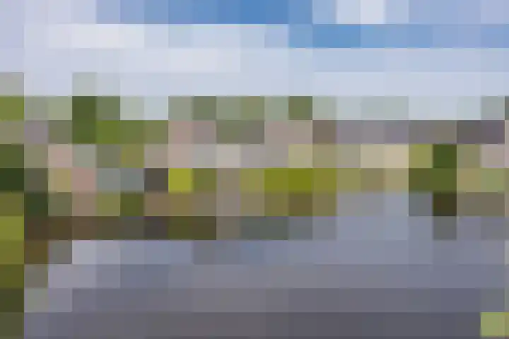 Warring 16 Joure thumbnail 47