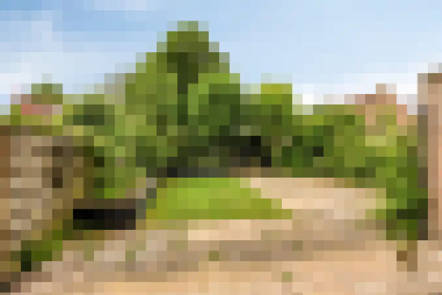 Warring 19 Joure thumbnail 24