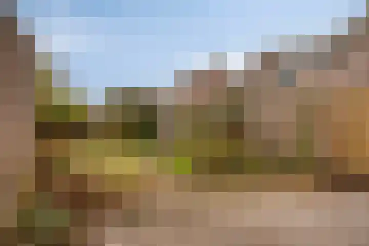 Warring 21 Joure thumbnail 30