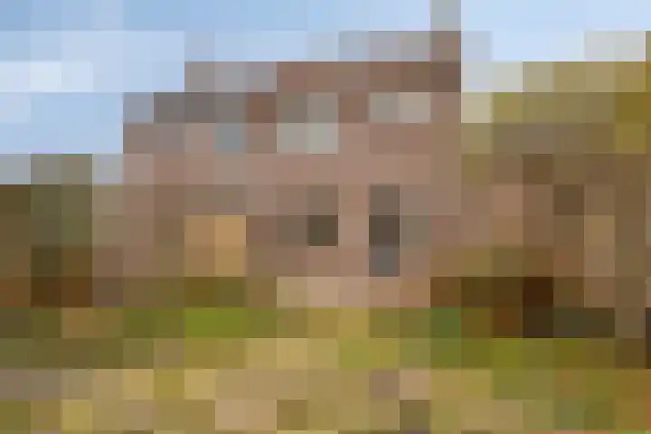 Warring 21 Joure thumbnail 33