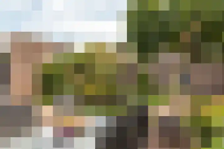 Warring 29 Joure thumbnail 36