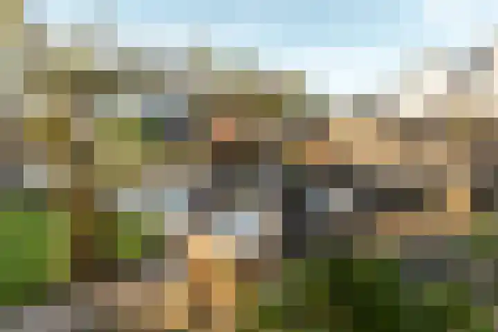 Warring 46 Joure thumbnail 13