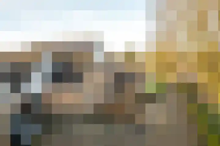 Warring 46 Joure thumbnail 7