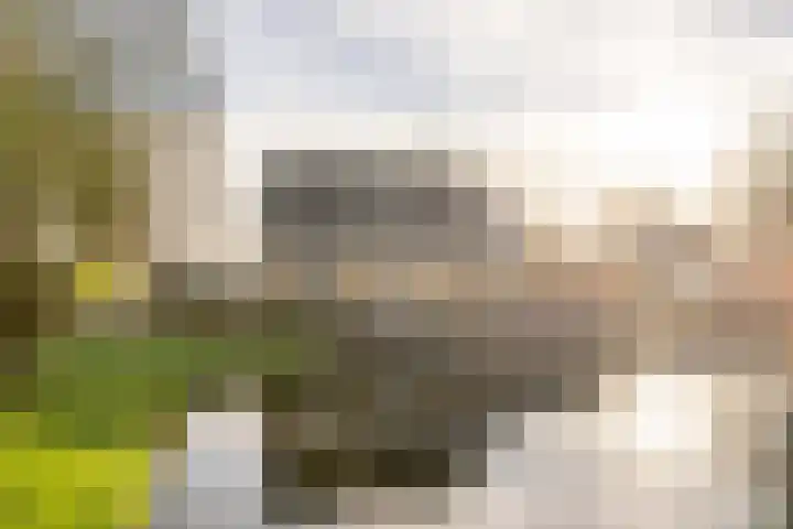 Warring 46 Joure thumbnail 8