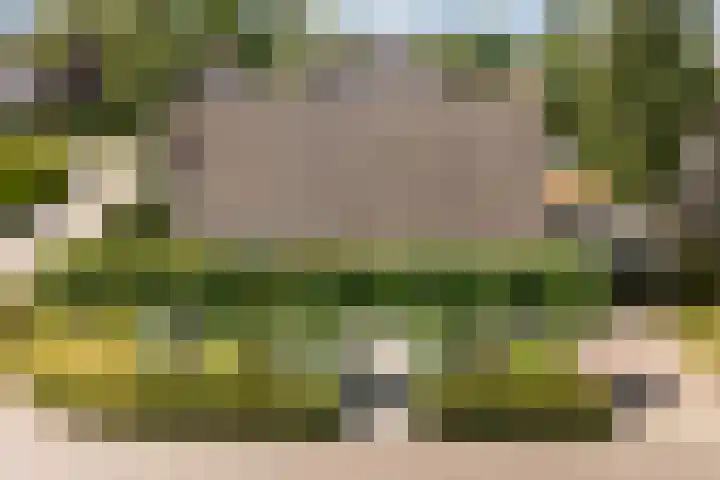Warring 65 Joure thumbnail 37