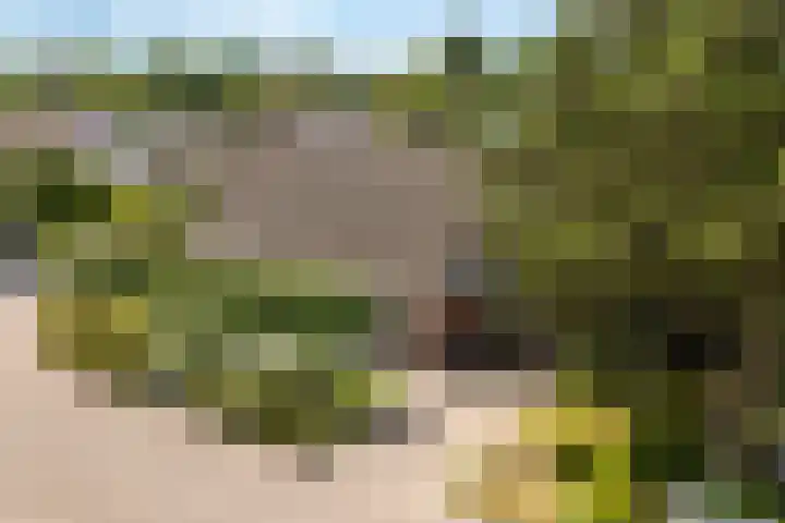 Warring 65 Joure thumbnail 39