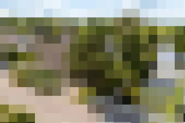 Warring 65 Joure thumbnail 40