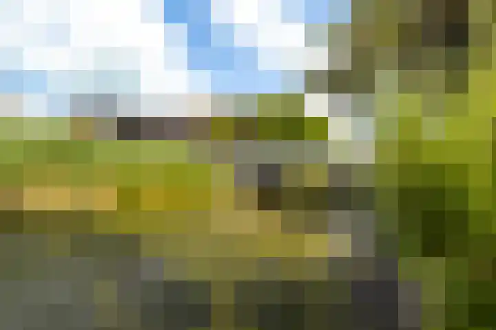 Warring 65 Joure thumbnail 41
