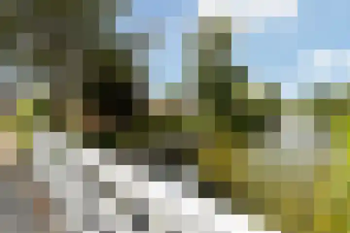 Warring 65 Joure thumbnail 42