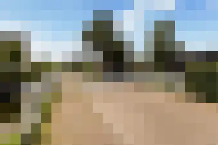 Warring 65 Joure thumbnail 43