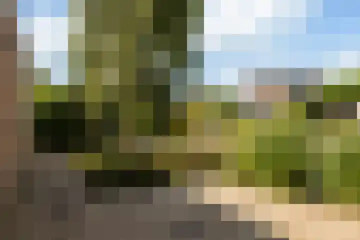 Warring 65 Joure thumbnail 5