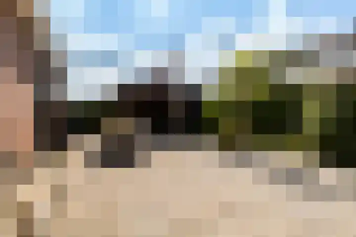 Warring 65 Joure thumbnail 52